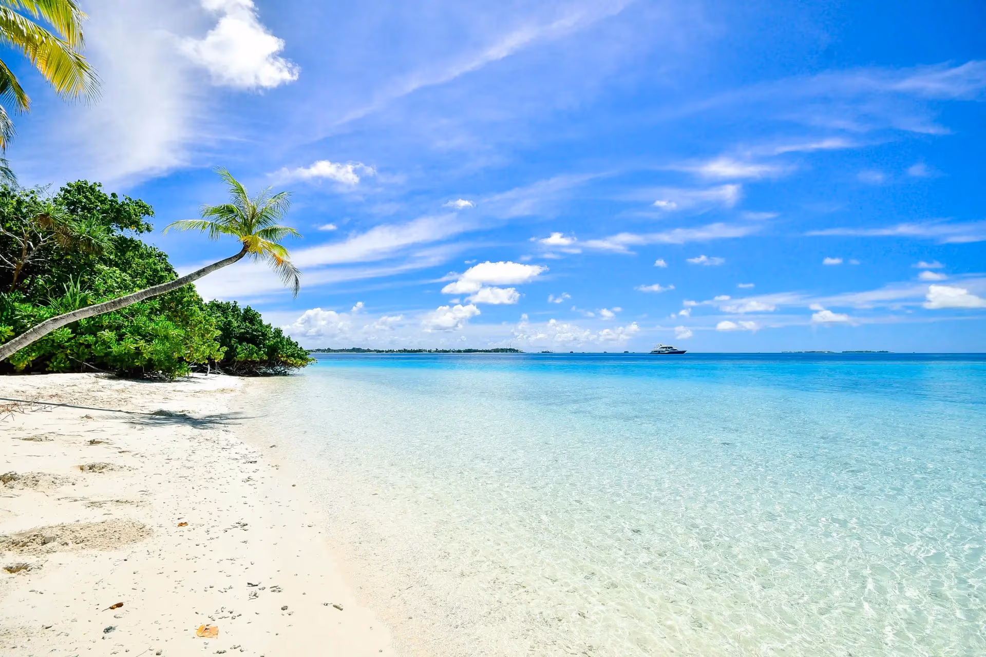 Tropical shoreline background